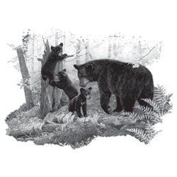 PLAYTIME 10153SA2.gif